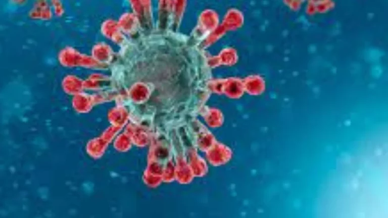 Worldcoronaviras (WCV) is a virus that has affected millions of people worldwide